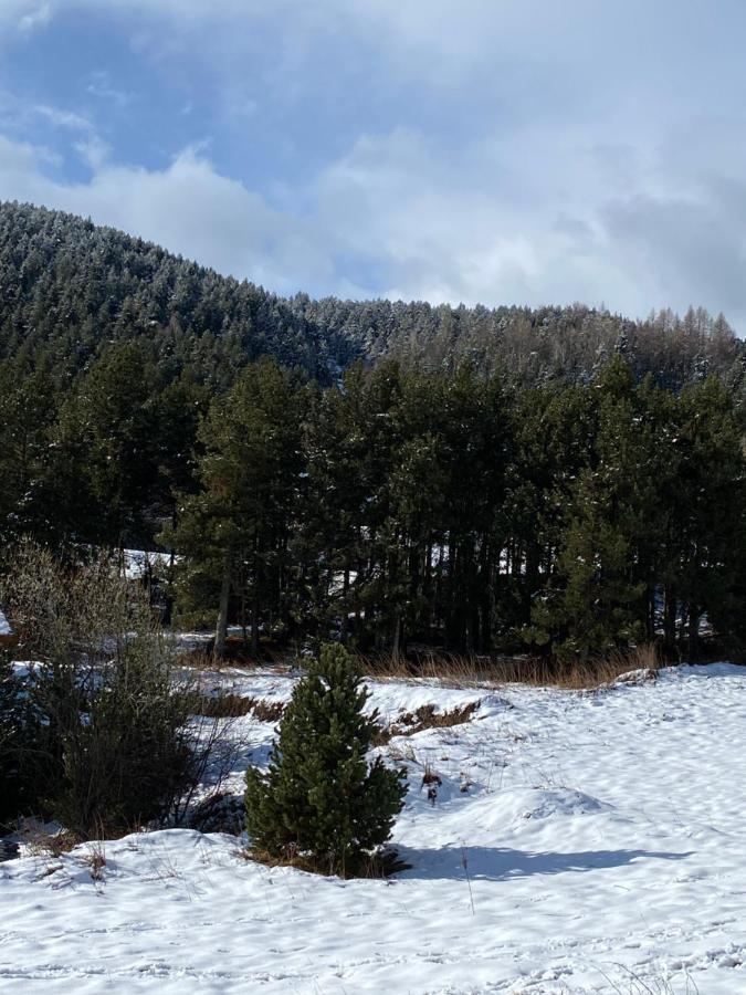 Chalet Au Pieds Des Pistes Le Cambre Aze Bolquere Pyrenees 2000 Eksteriør bilde